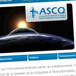 website screen capture