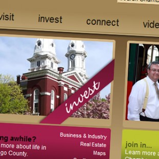 website screen capture