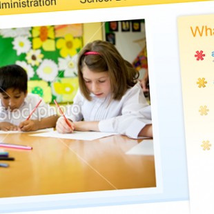 website screen capture