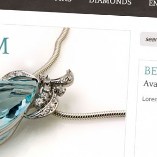 website screen capture
