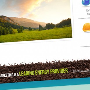 website screen capture