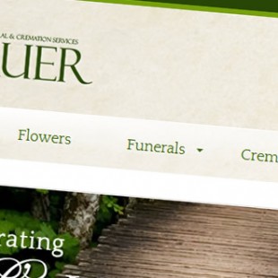 website screen capture