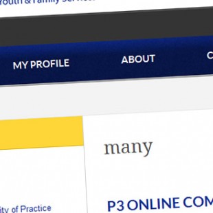 website screen capture