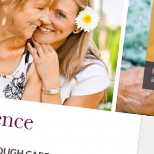 website screen capture